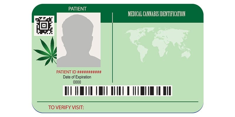 Medical Marijuana Card in Michigan: Accessing Safe and Legal Relief